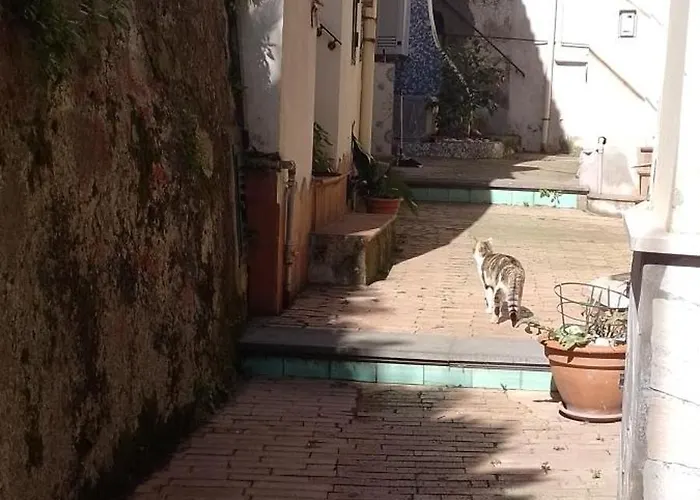 Donnasofia צ'טארה